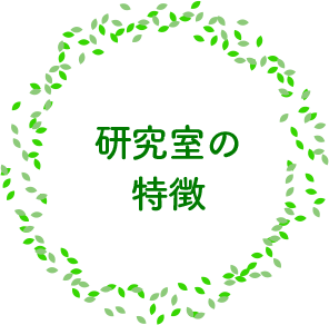 研究室の特徴
